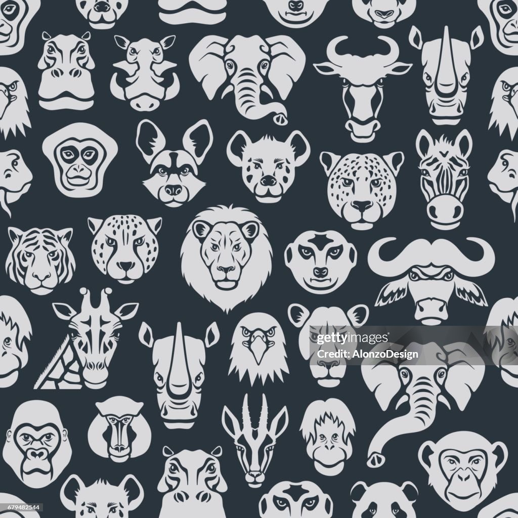 Animal Patterns Reference Wild Animal Seamless Pattern High-Res Vector Graphic - Getty Images