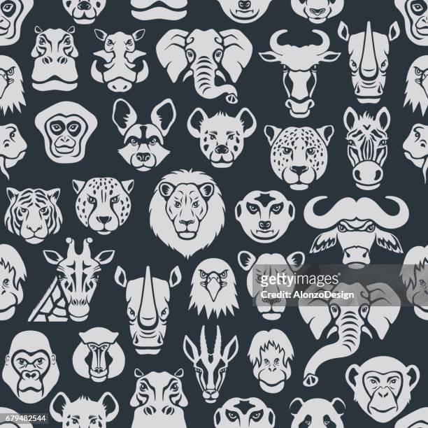 wild animal seamless pattern - african buffalo stock illustrations