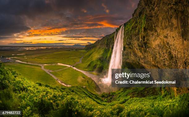 seljalandsfoss, iceland - gloomy swamp stock pictures, royalty-free photos & images