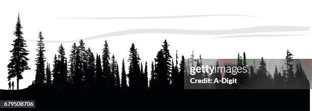 forest breeze - treelined stock illustrations