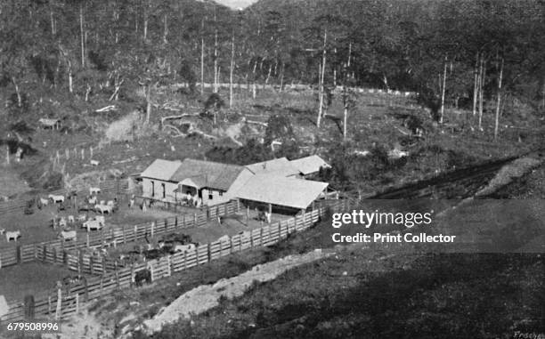 Fazenda de Cria˛“o ', 1895. From Sao Paulo by Gustavo Koenigswald. [S. Paulo, 1895] Artist Axel Frick.