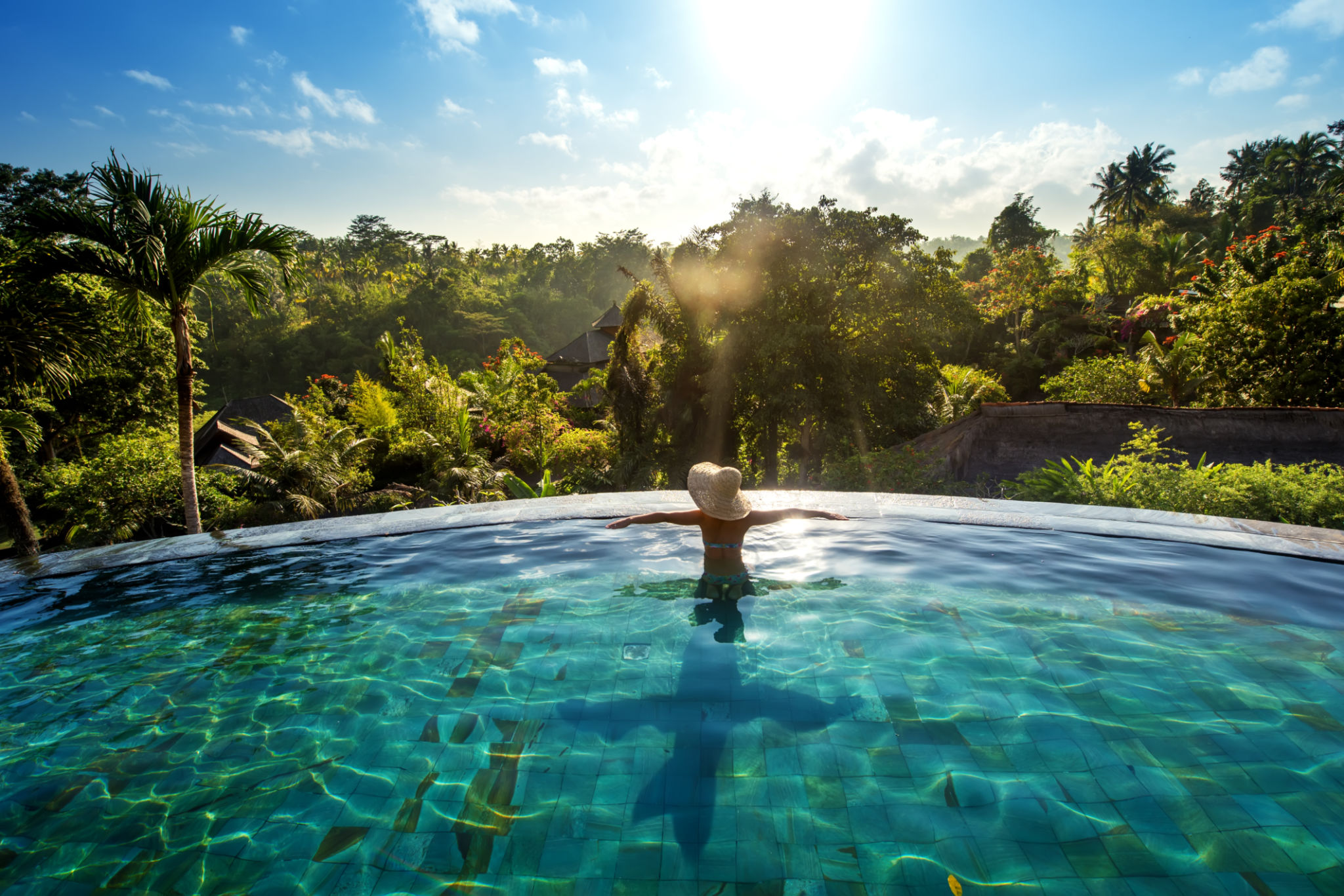 jungle wellness