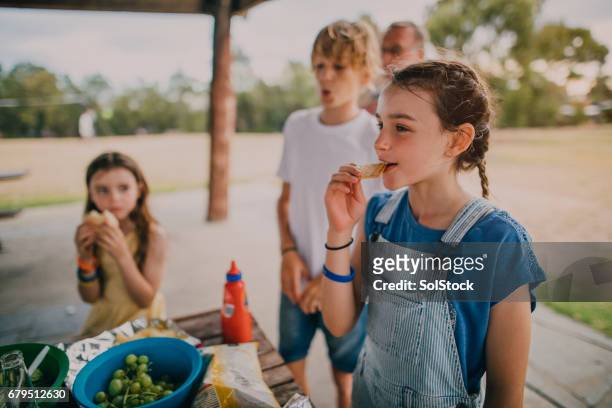 little girl at a family bbq - melbourne parkland stock pictures, royalty-free photos & images