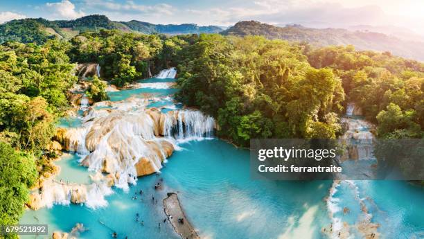 wasserfälle von agua azul in chiapas, mexiko - agua azul stock-fotos und bilder