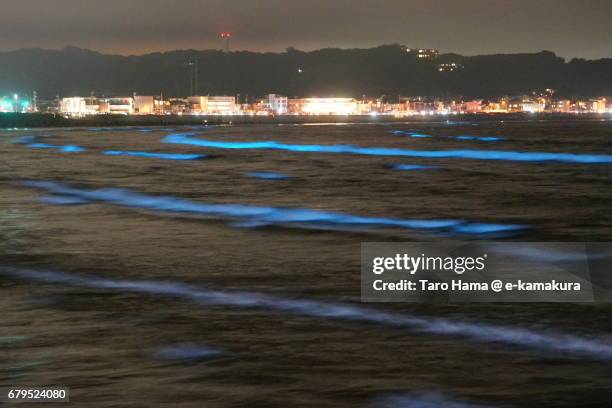 blue light bioluminescence from noctiluca scintillans on the night beach in kamakura, japan - ヤコウチュウ ストックフォトと画像