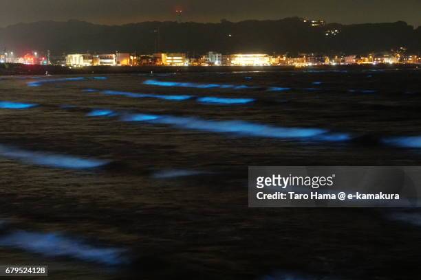 blue light bioluminescence from noctiluca scintillans on the night beach in kamakura, japan - ヤコウチュウ ストックフォトと画像