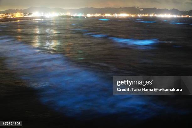 blue light bioluminescence from noctiluca scintillans on the night beach in kamakura, japan - ヤコウチュウ ストックフォトと画像