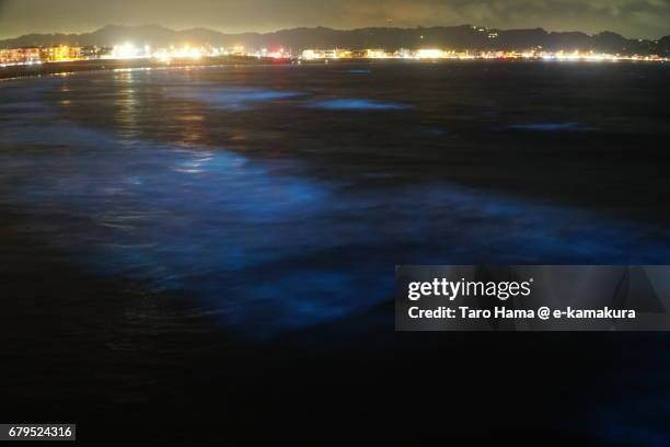 blue light bioluminescence from noctiluca scintillans on the night beach in kamakura, japan - dinoflagellate stock pictures, royalty-free photos & images