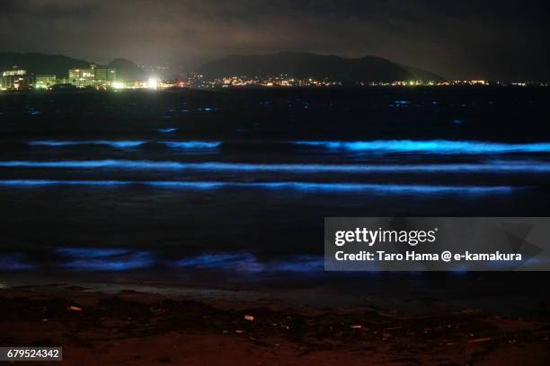 blue light bioluminescence from noctiluca scintillans on the night beach in kamakura, japan - dinoflagellate stock pictures, royalty-free photos & images