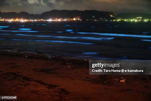 blue light bioluminescence from noctiluca scintillans on the night beach in kamakura, japan - ヤコウチュウ ストックフォトと画像