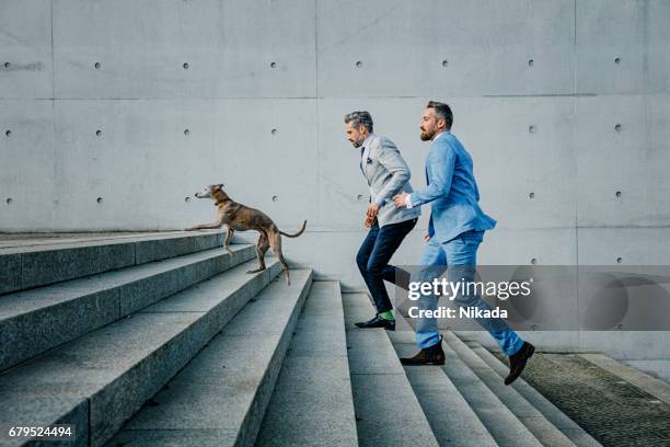 two businessmen running up on steps with dog - the man in the dog suit stock pictures, royalty-free photos & images