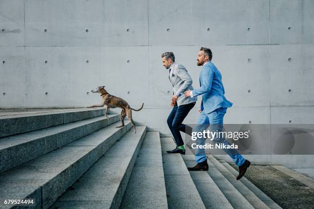 two businessmen running up on steps with dog - businessman running stock pictures, royalty-free photos & images