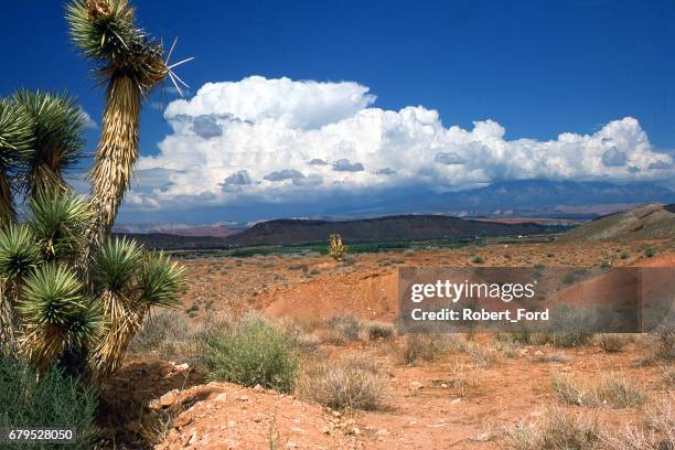 billowing cumulo-nimbus clouds over the big pine mountains behind the city of st george utah - cumulo stock pictures, royalty-free photos & images