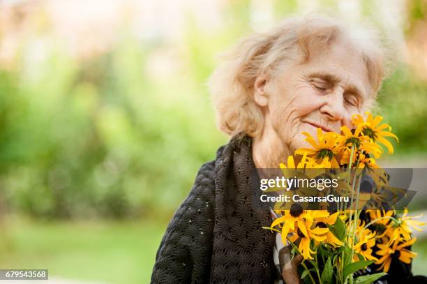 portrait of a smiling senior woman holding flowers - memorial garden stock pictures, royalty-free photos & images