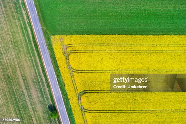 canola field from above - harvest festival stock pictures, royalty-free photos & images