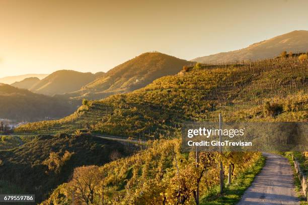 sunset in farra di soligo,land of prosecco wine - prosecco stock pictures, royalty-free photos & images