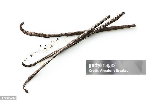 three dried vanilla beans on white - vanilla stock pictures, royalty-free photos & images