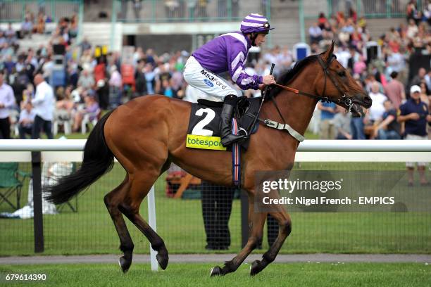 Max Chipchase 228 Chipchase Stock Photos, High-Res Pictures, and Images - Getty Images