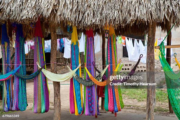 colorful hammocks for sale under a palapa - woven hammock stock pictures, royalty-free photos & images