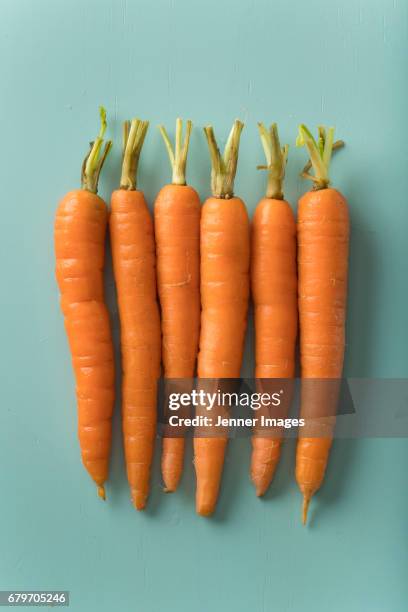 row of fresh orange carrots. - carrot fotografías e imágenes de stock