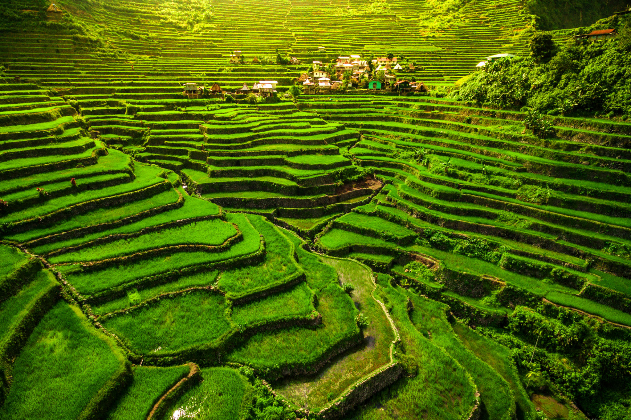 Batad Rice Terraces, North Luzon, Philippines Batad Rice Terraces, North Luzon, Philippines