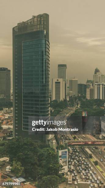 jakarta jungle - jakob montrasio stock pictures, royalty-free photos & images