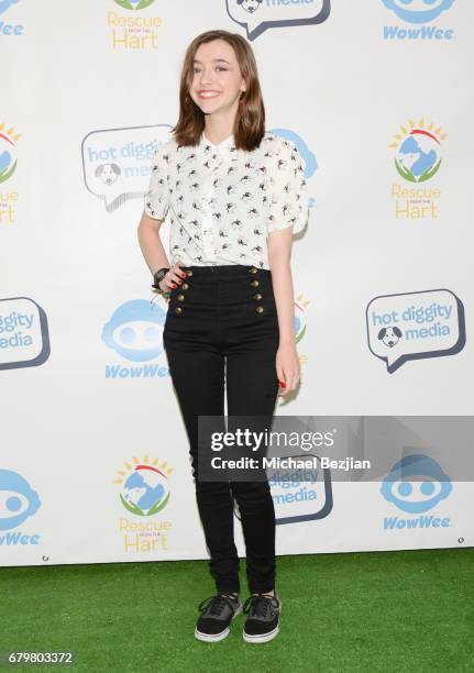 Actress Ashley Boettcher attends Celebrities to the Rescue: Hollywood's Day of Community Service on May 6, 2017 in Studio City, California.