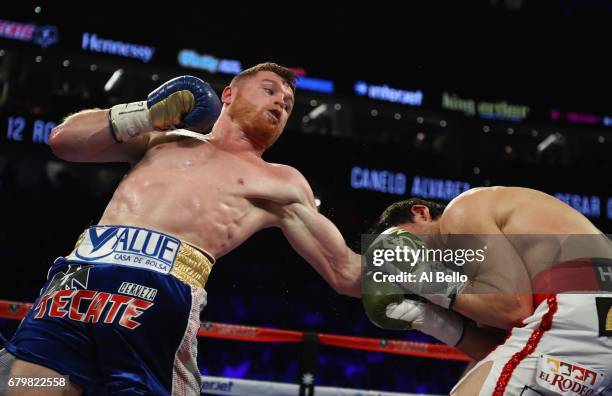 Canelo Alvarez punches Julio Cesar Chavez Jr. During their catchweight bout at T-Mobile Arena on May 6, 2017 in Las Vegas, Nevada.