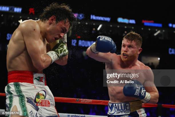 Canelo Alvarez punches Julio Cesar Chavez Jr. During their catchweight bout at T-Mobile Arena on May 6, 2017 in Las Vegas, Nevada. Alvarez won by...