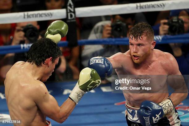 Canelo Alvarez punches Julio Cesar Chavez Jr. During their catchweight bout at T-Mobile Arena on May 6, 2017 in Las Vegas, Nevada.