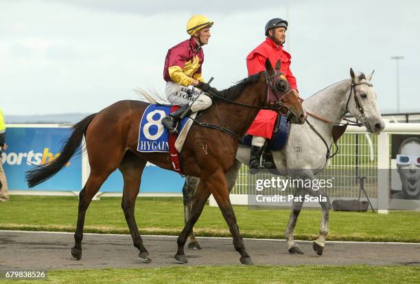 323 Pat Duff Stock Photos, High-Res Pictures, and Images - Getty Images