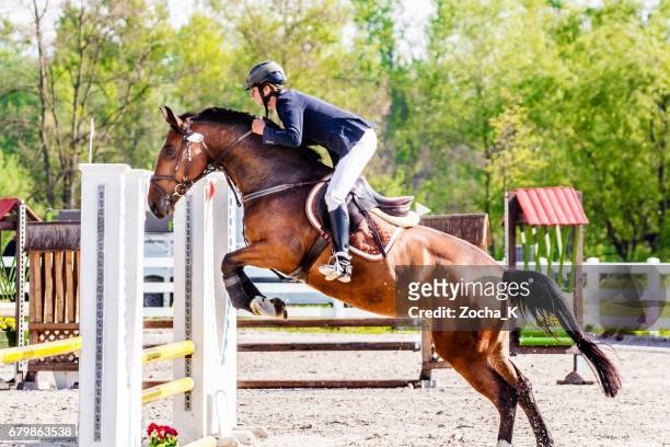 salto ostacoli - cavallo con cavaliere che salta oltre l'ostacolo - equestrian show jumping foto e immagini stock