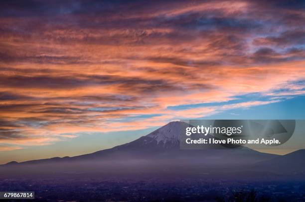 fuji spring view - 湖 stock-fotos und bilder