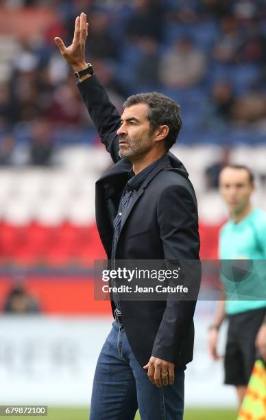 Coach of SC Bastia Rui Almeida during the French Ligue 1 match between Paris Saint-Germain and SC Bastia at Parc des Princes stadium on May 6, 2017...