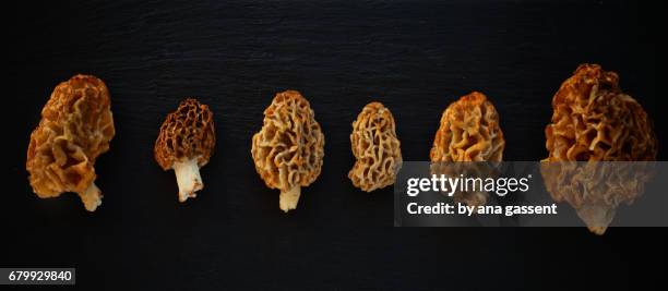 mushrooms - comida gourmet 個照片及圖片檔