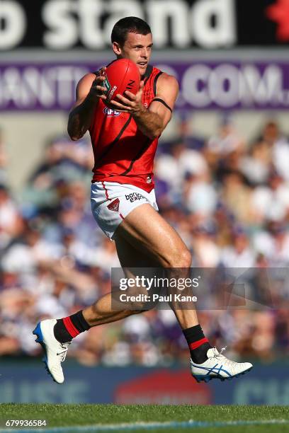 Brent Stanton of the Bombers marks the ball during the round seven AFL match between the Fremantle Dockers and the Essendon Bombers at Domain Stadium...