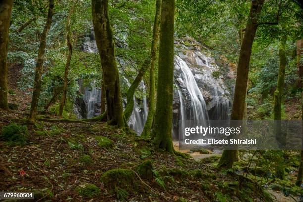 kanabiki-no-taki falls - japão fotografías e imágenes de stock