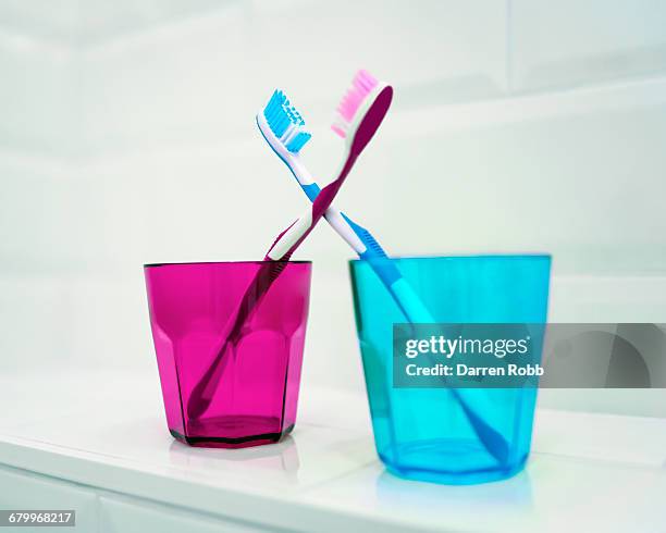 blue and pink toothbrushes in toothbrush holders - escova de dentes - fotografias e filmes do acervo