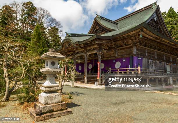 seishoji - japão stock pictures, royalty-free photos & images