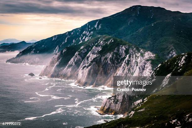 tasmanian west coast, southwest national park - tasmanian wilderness stock pictures, royalty-free photos & images