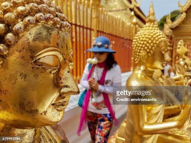 asian tourist walking around the famous gold covered chedi at wat doi suthep in chiang mai, thailand. - doi suthep stock pictures, royalty-free photos & images