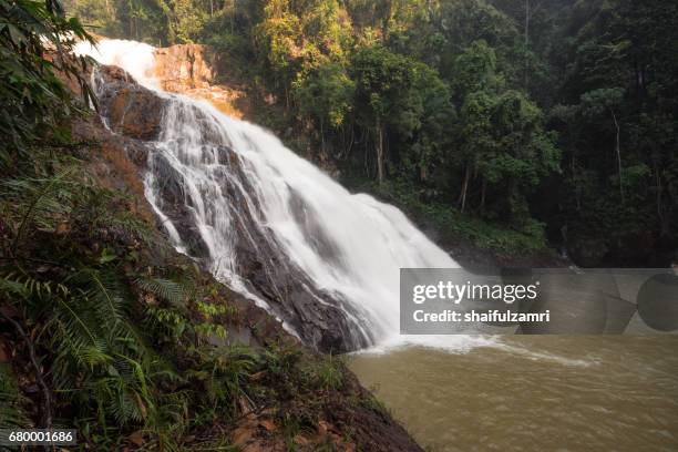Landmark Rompin 24 Endau Rompin National Park Stock Photos, High-Res Pictures, and ...