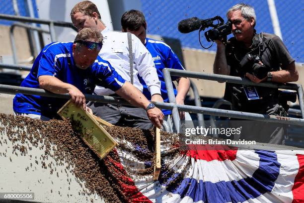 Grounds crew member Jeff Diekman removes a swarm of bees as Kansas City Star staff photographer, John Sleezer , records video before the game between...