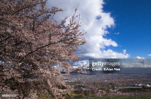 yamanashi in spring - 郊外の風景 stock-fotos und bilder