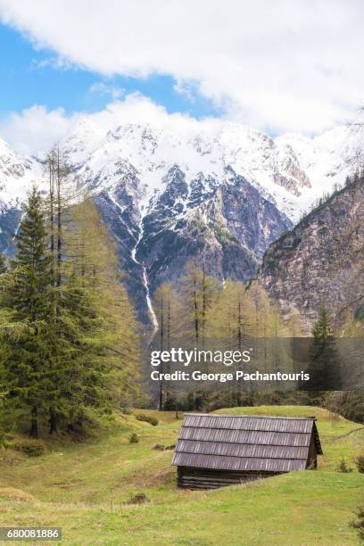 log cabin in the alps - triglav slovenia stock pictures, royalty-free photos & images