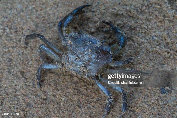 Landmark Rompin Rompin Photos and Premium High Res Pictures - Getty Images