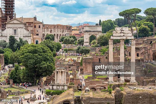 roman forum - roman forum rome stock pictures, royalty-free photos & images