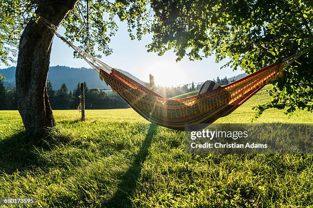 relaxing hammock at sunset - hopfgarten stock pictures, royalty-free photos & images