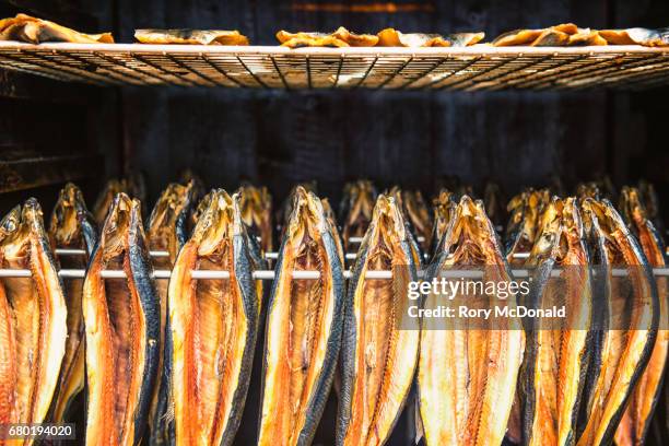 kippers in a smoking oven - räucherfisch stock-fotos und bilder