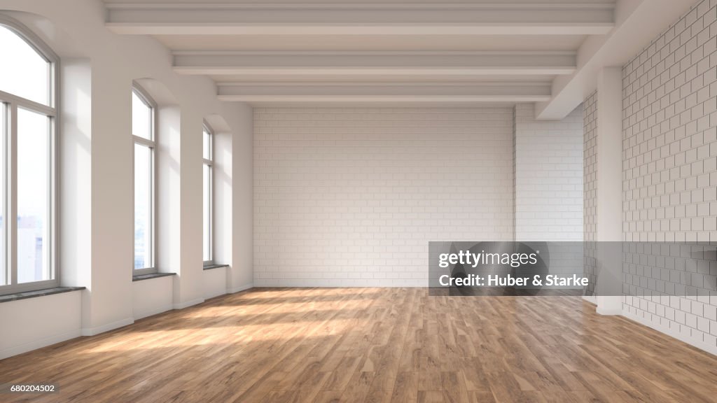 Empty loft with view at skyline